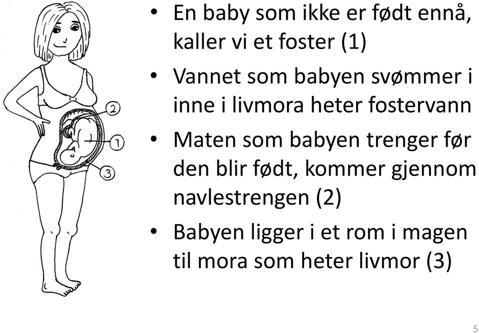 babyen trenger før den blir født, kommer gjennom navlestrengen