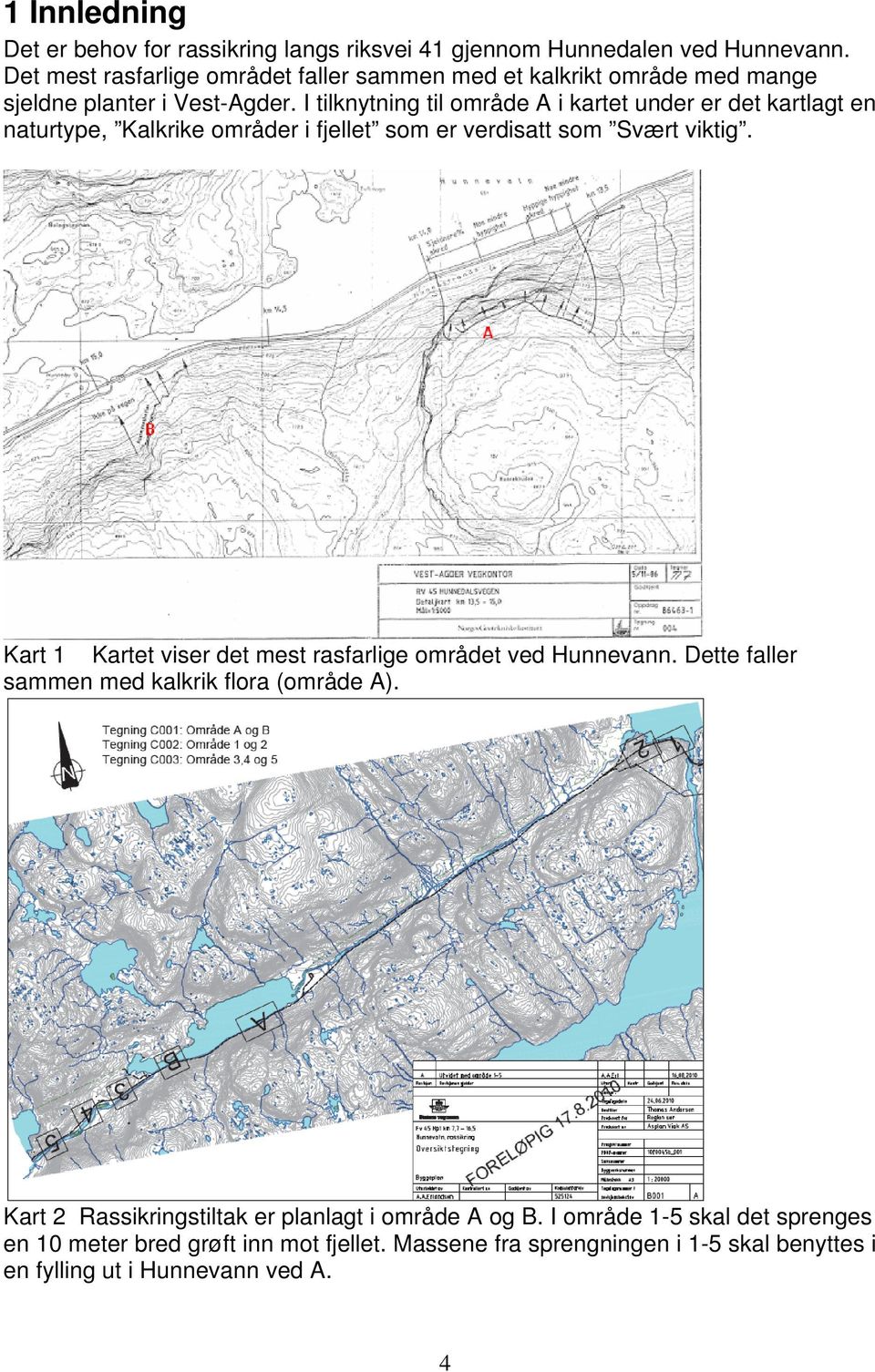 I tilknytning til område A i kartet under er det kartlagt en naturtype, Kalkrike områder i fjellet som er verdisatt som Svært viktig.