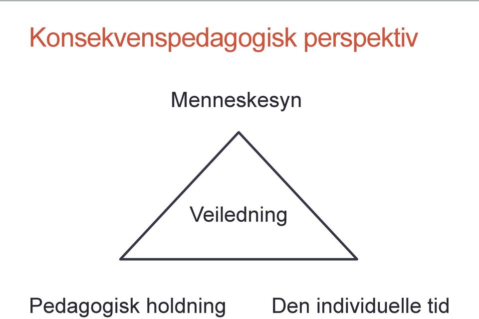 Veiledning Pedagogisk