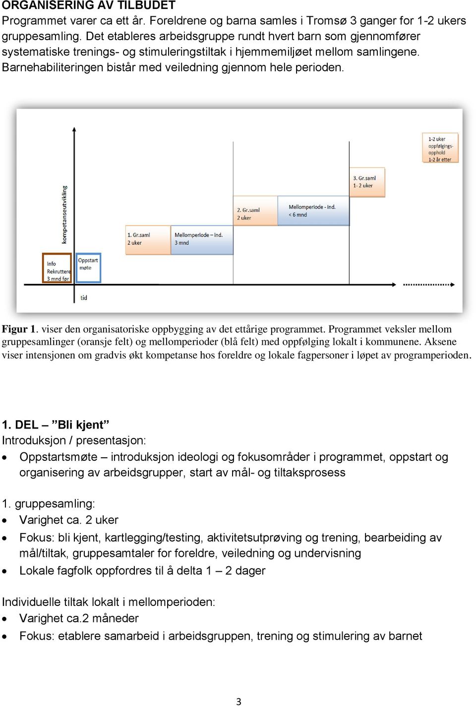 Barnehabiliteringen bistår med veiledning gjennom hele perioden. Figur 1. viser den organisatoriske oppbygging av det ettårige programmet.