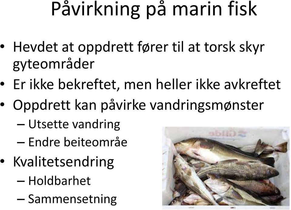 avkreftet Oppdrett kan påvirke vandringsmønster Utsette