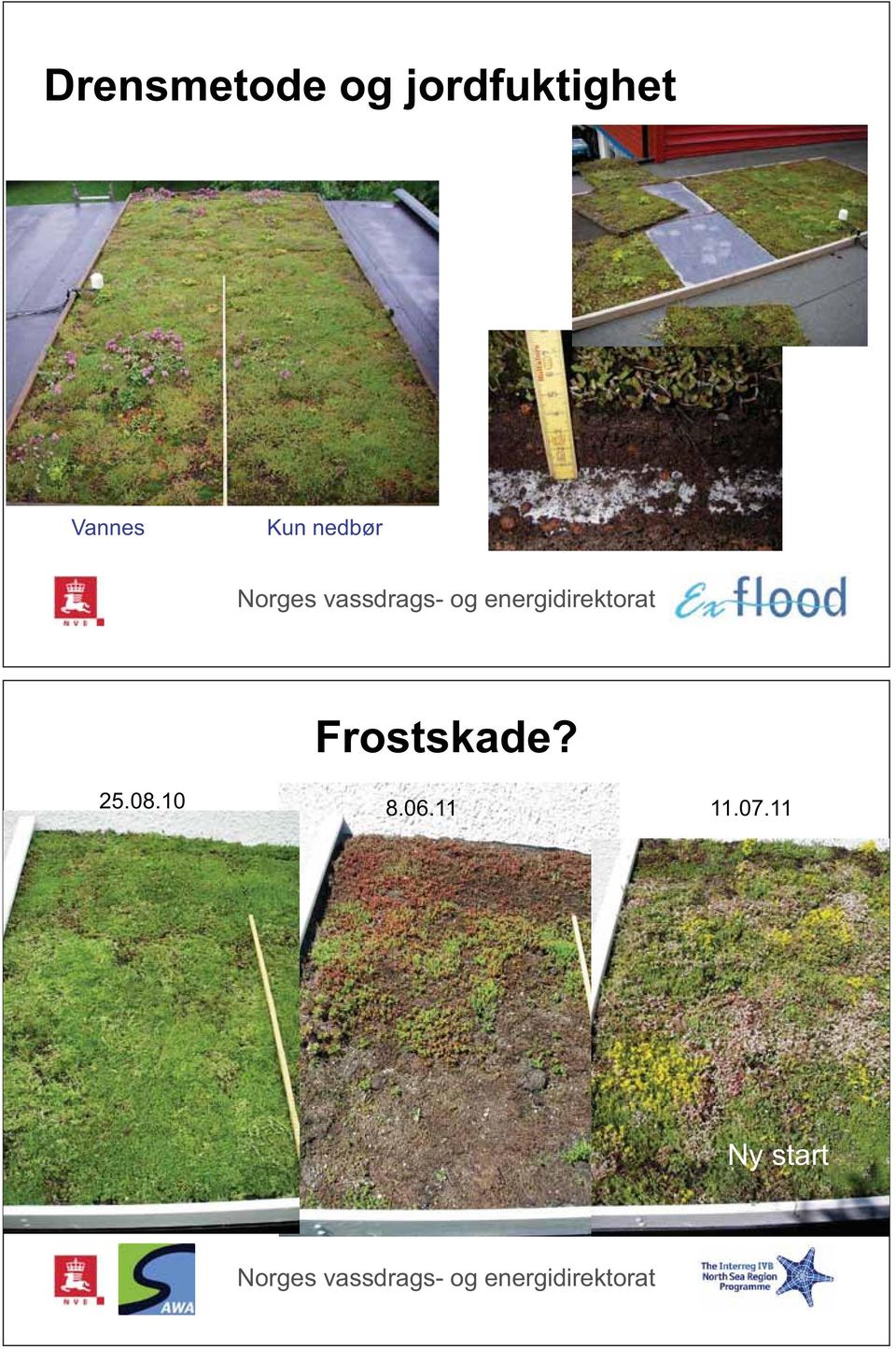 Kun nedbør Frostskade?