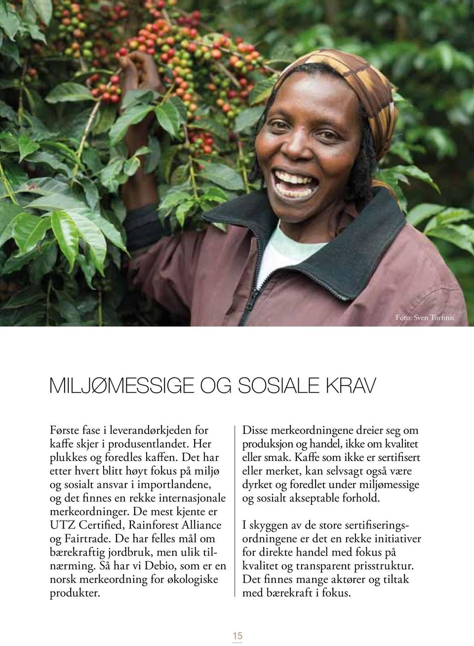 De mest kjente er UTZ Certified, Rainforest Alliance og Fairtrade. De har felles mål om bærekraftig jordbruk, men ulik tilnærming.