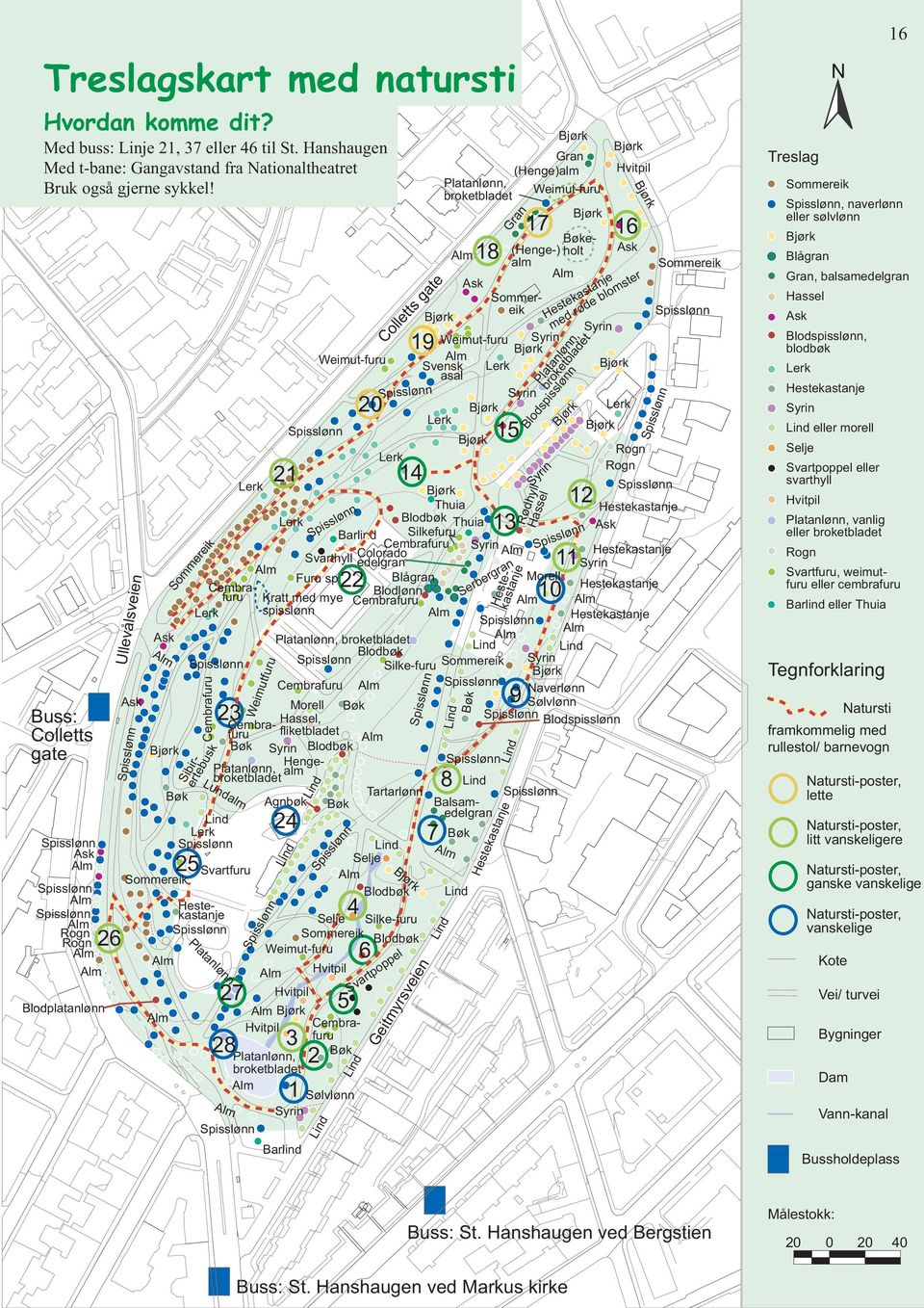 Weimut-furu Svensk Lerk asal Syrin 20 Lerk Lerk 15 Rogn Lerk Rogn 21 14 Lerk 12 Thuia Lerk Blodbøk Thuia 13 Ask Barlind Silkefuru Cembrafuru Syrin Svarthyll Colorado edelgran 11 Syrin Furu sp Blågran