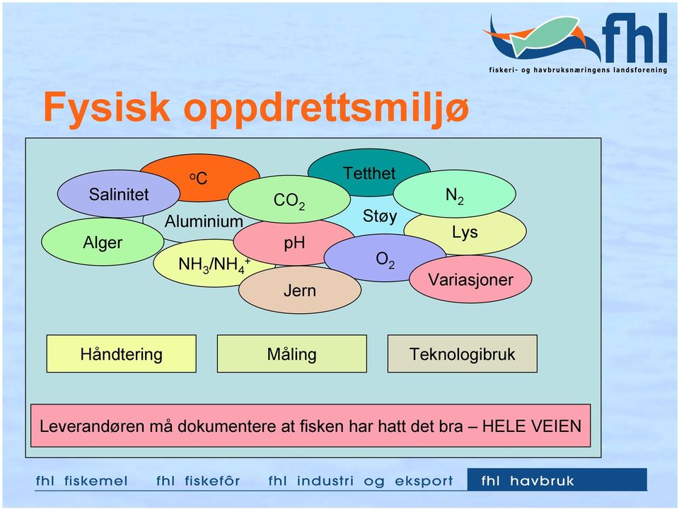 Variasjoner Håndtering Måling Teknologibruk