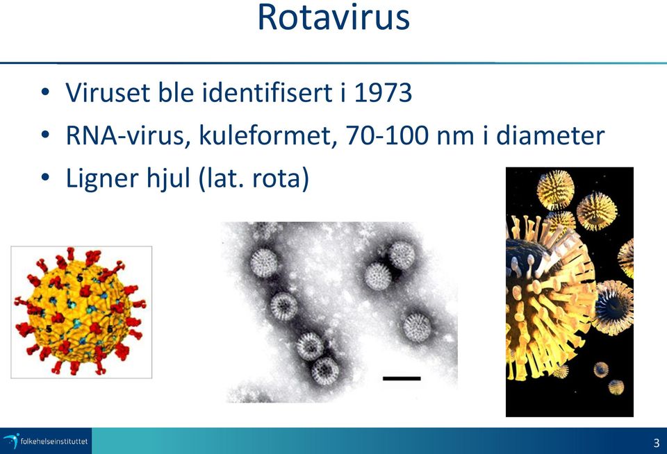 RNA-virus, kuleformet,