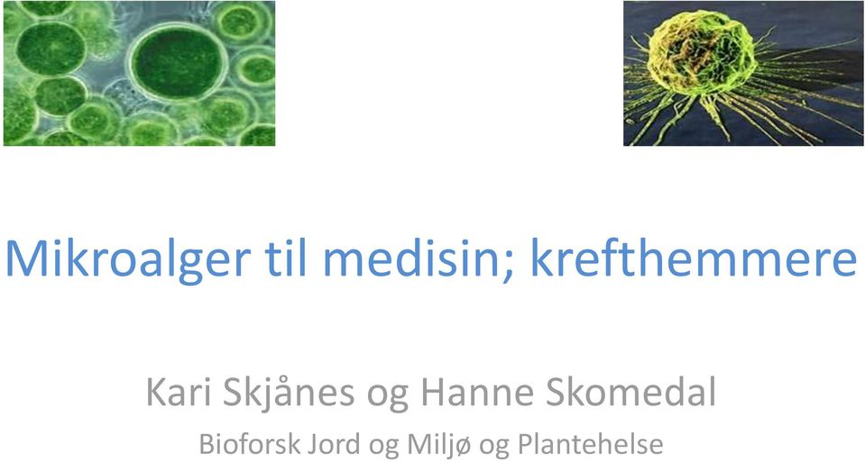 og Hanne Skomedal Bioforsk