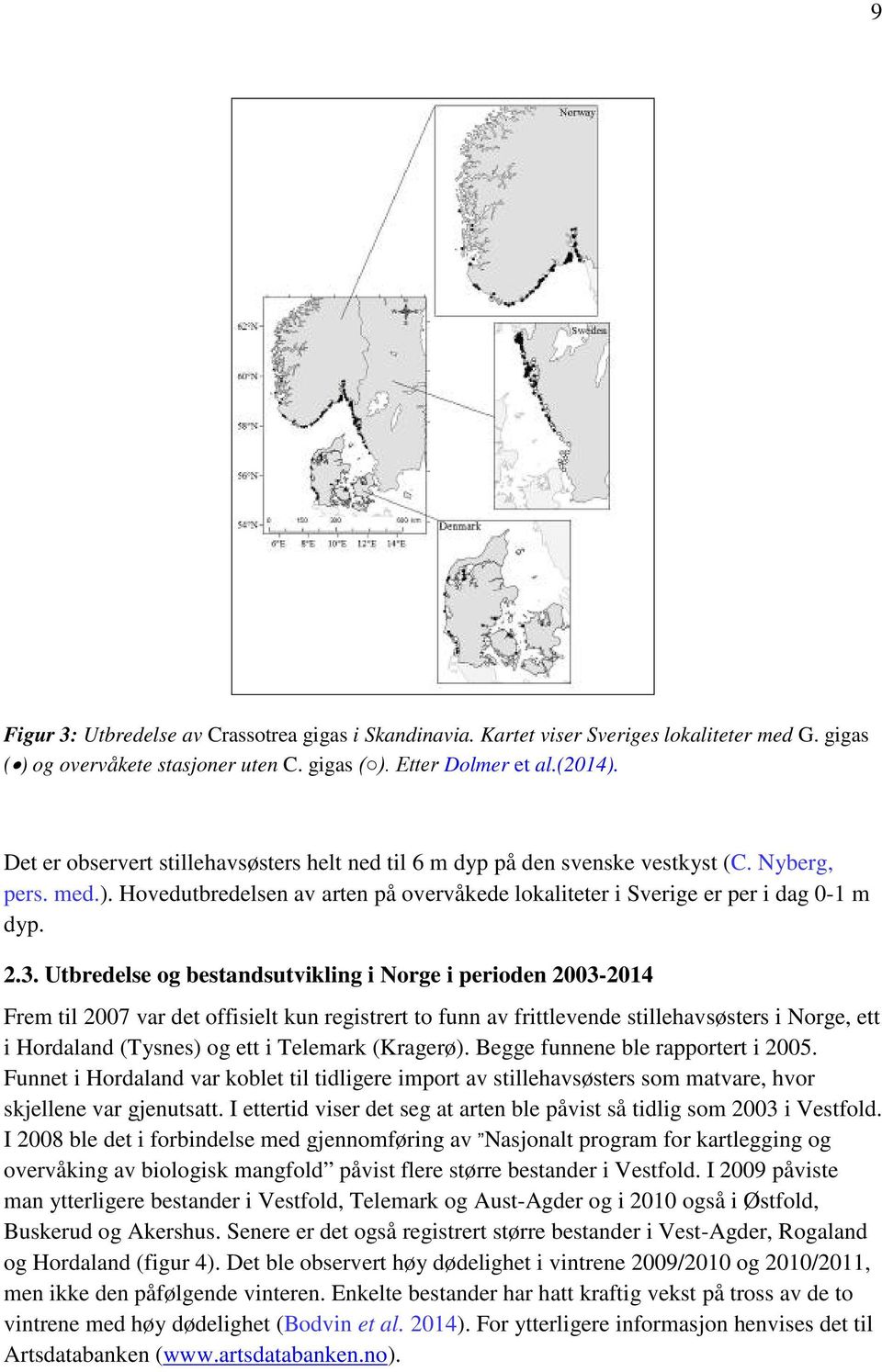 Utbredelse og bestandsutvikling i Norge i perioden 2003-2014 Frem til 2007 var det offisielt kun registrert to funn av frittlevende stillehavsøsters i Norge, ett i Hordaland (Tysnes) og ett i