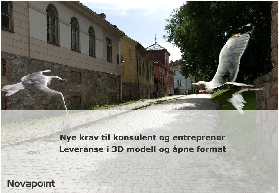 entreprenør