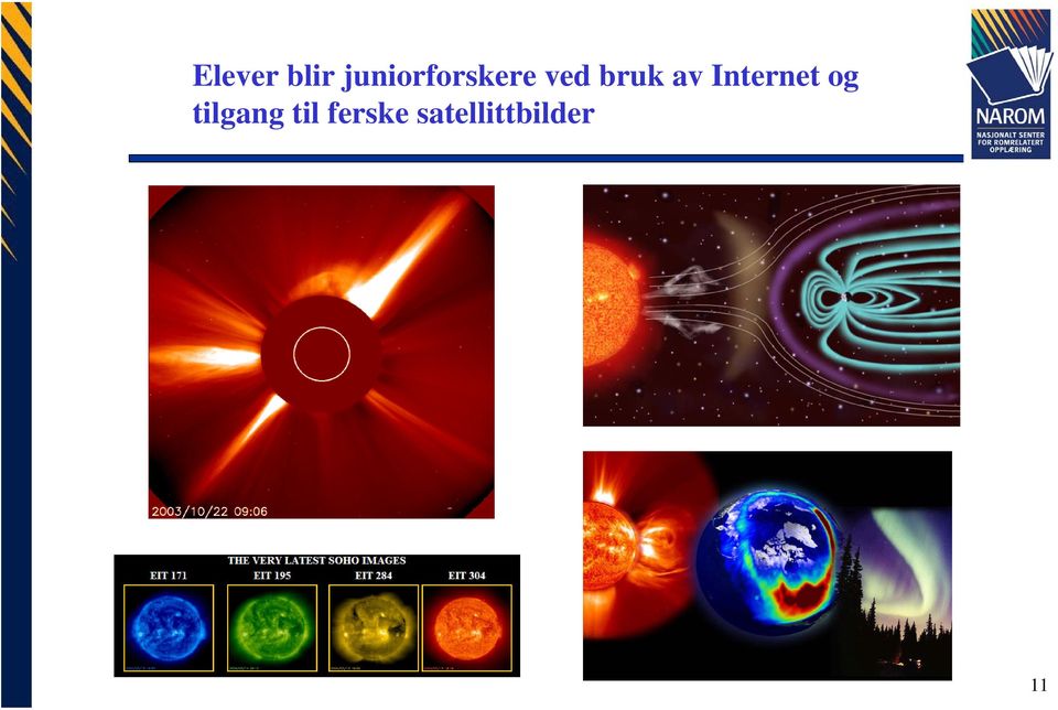 bruk av Internet og