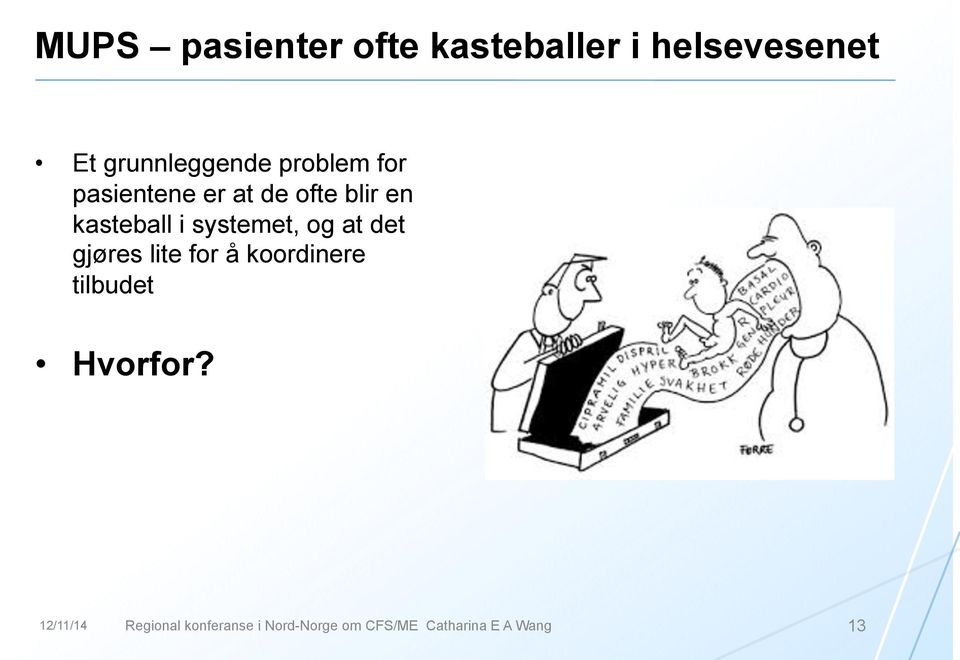 systemet, og at det gjøres lite for å koordinere tilbudet Hvorfor?