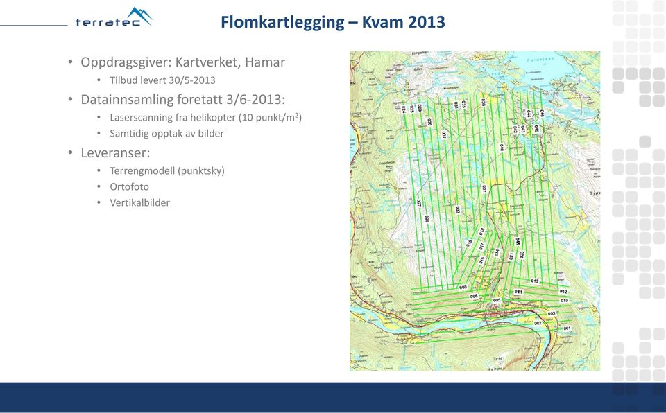 Laserscanningfra helikopter (10 punkt/m 2 ) Samtidig opptak