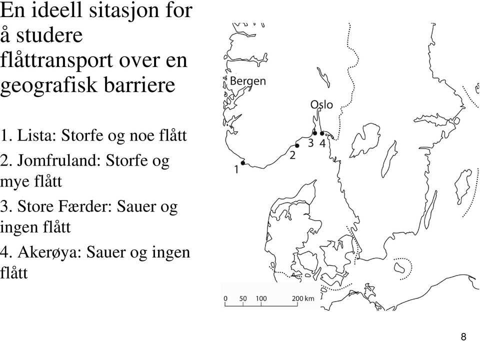 Lista: Storfe og noe flått 2.