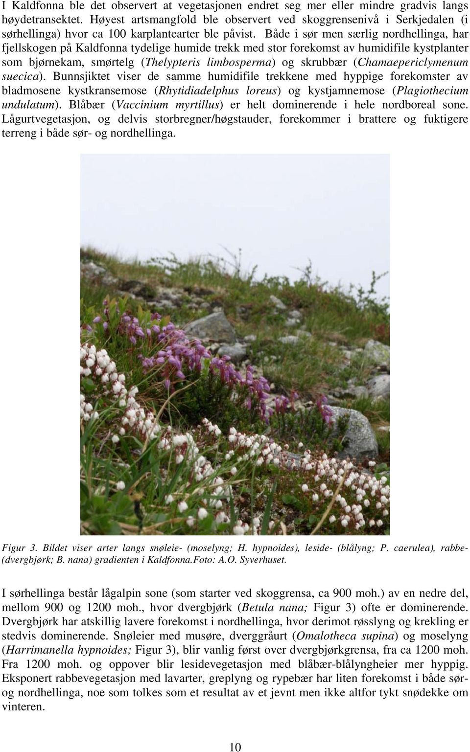 Både i sør men særlig nordhellinga, har fjellskogen på Kaldfonna tydelige humide trekk med stor forekomst av humidifile kystplanter som bjørnekam, smørtelg (Thelypteris limbosperma) og skrubbær