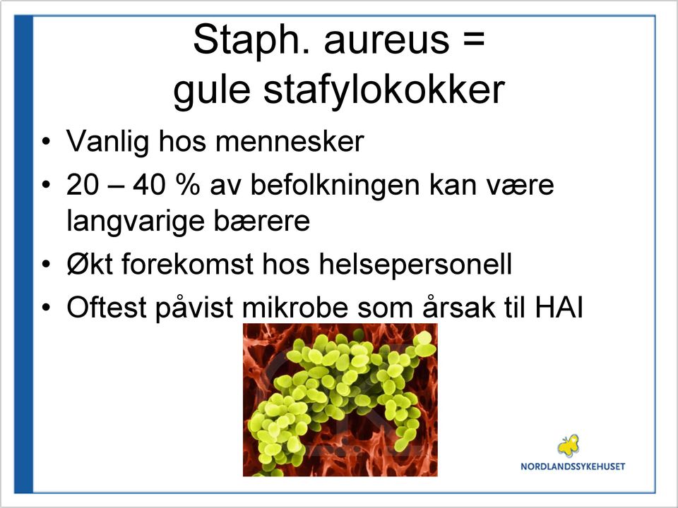 mennesker 20 40 % av befolkningen kan være