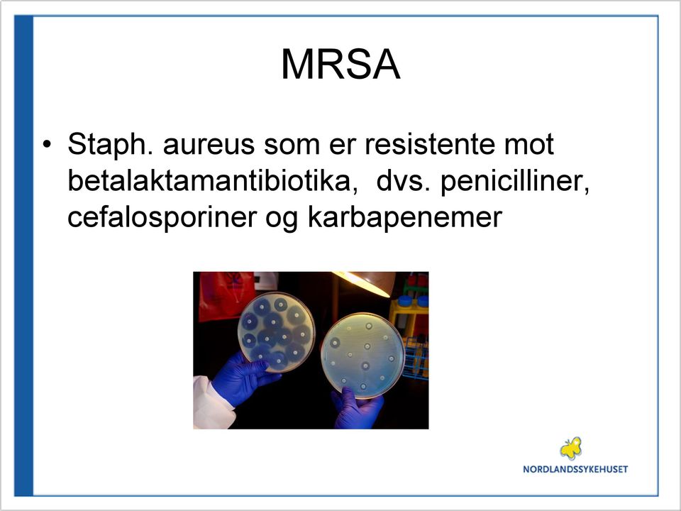 betalaktamantibiotika, dvs.