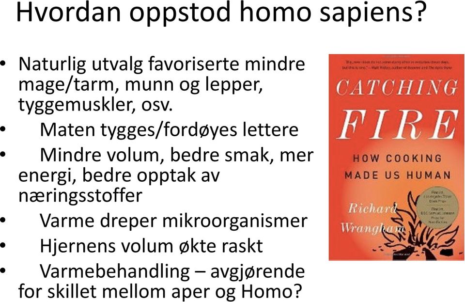 Maten tygges/fordøyes lettere Mindre volum, bedre smak, mer energi, bedre opptak