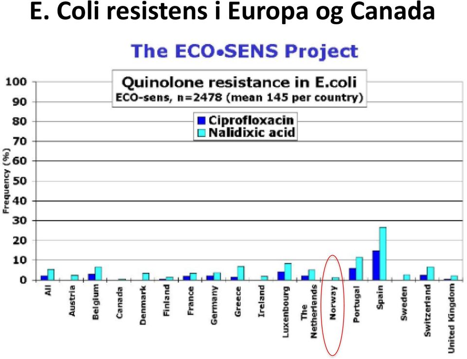 i Europa