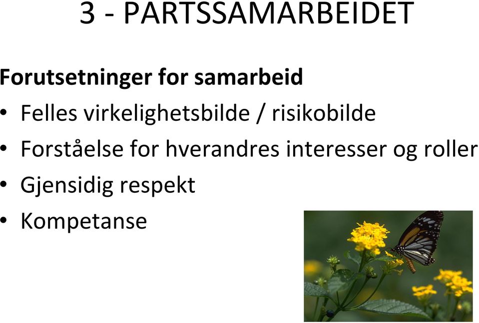 risikobilde Forståelse for hverandres