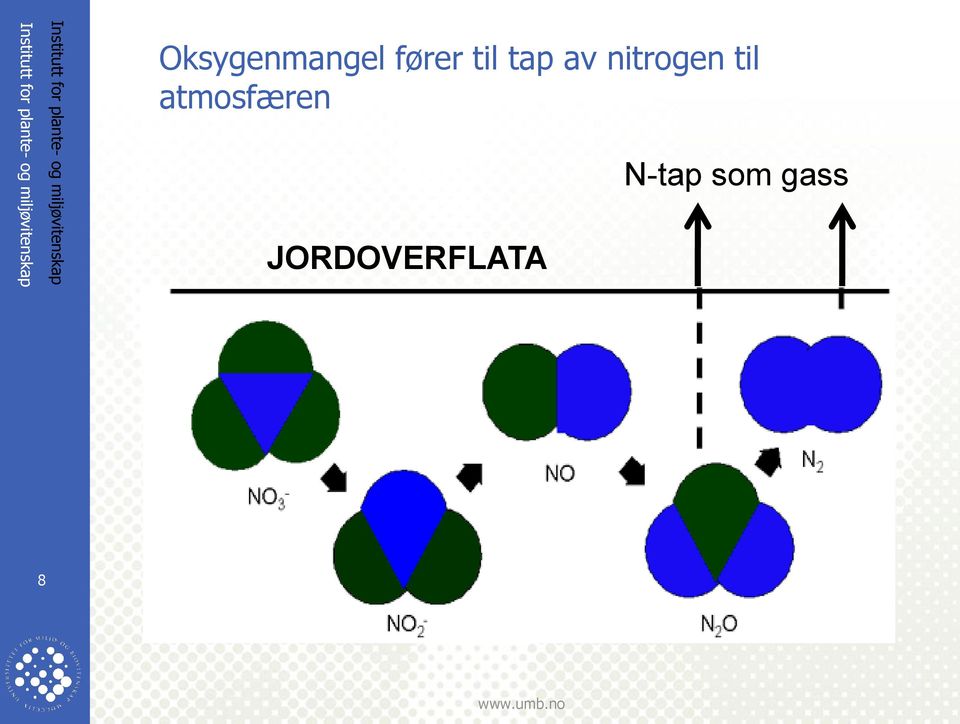 fører til tap av nitrogen til