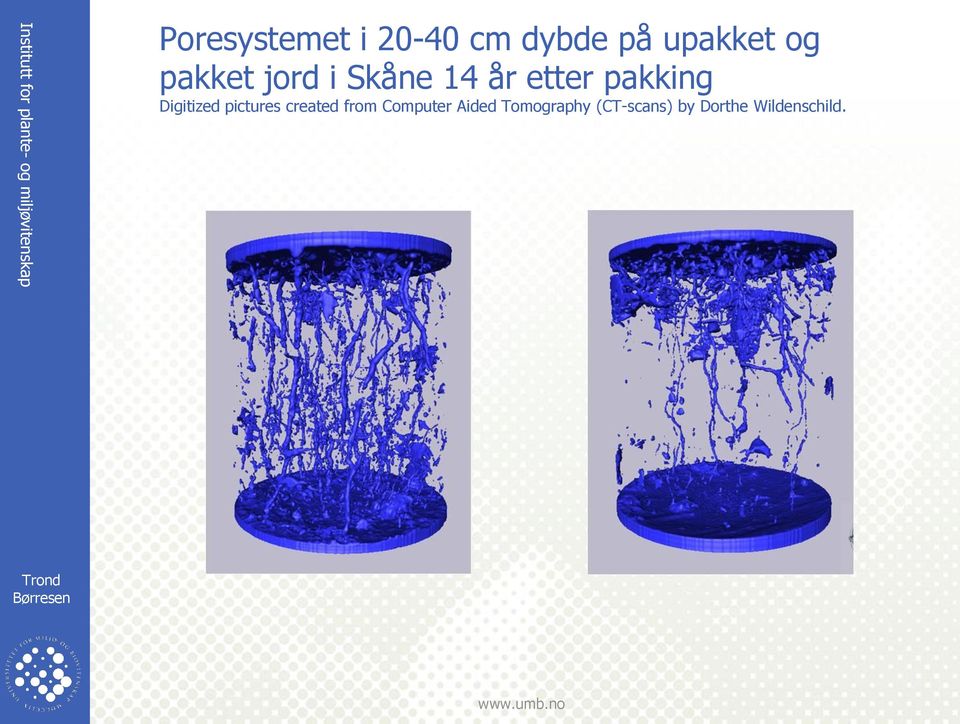 Digitized pictures created from Computer Aided