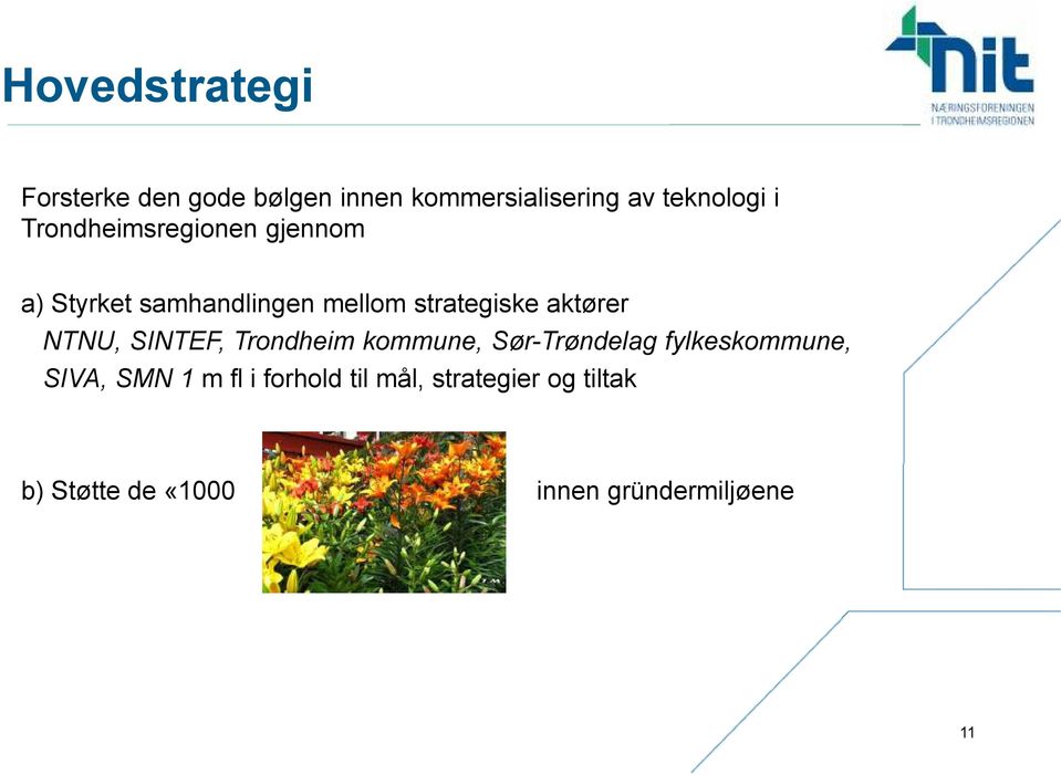 NTNU, SINTEF, Trondheim kommune, Sør-Trøndelag fylkeskommune, SIVA, SMN 1 m fl