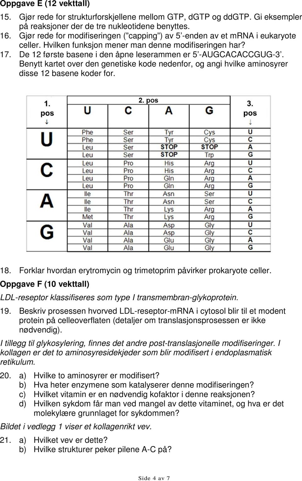 De 12 første basene i den åpne leserammen er 5 -AUGCACACCGUG-3. Benytt kartet over den genetiske kode nedenfor, og angi hvilke aminosyrer disse 12 basene koder for. 18.