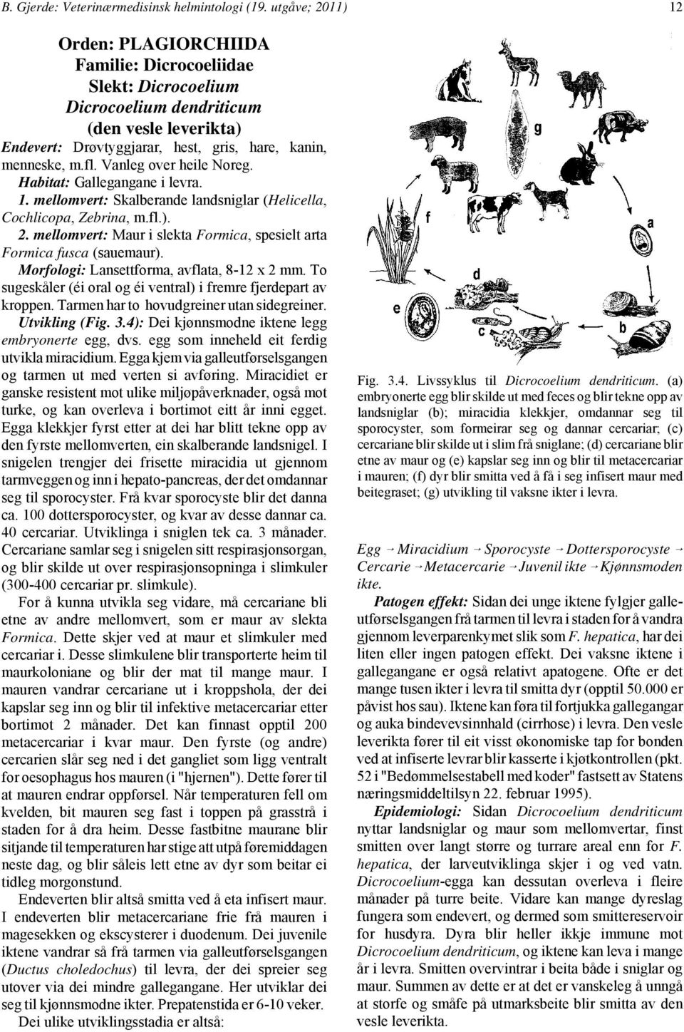 Vanleg over heile Noreg. Habitat: Gallegangane i levra. 1. mellomvert: Skalberande landsniglar (Helicella, Cochlicopa, Zebrina, m.fl.). 2.