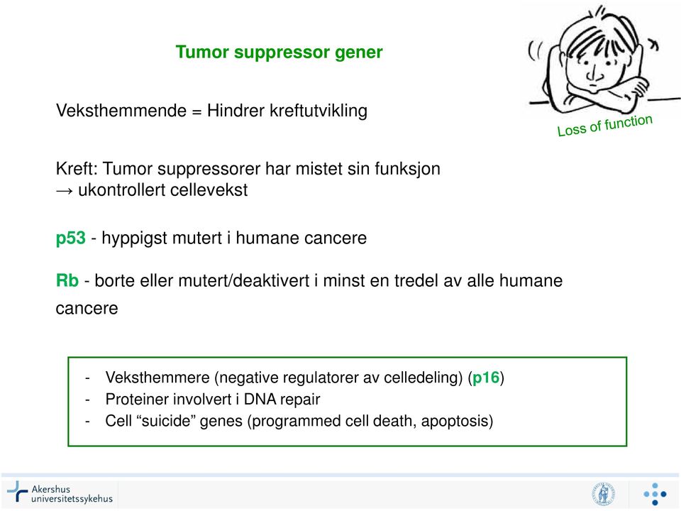 mutert/deaktivert i minst en tredel av alle humane cancere - Veksthemmere (negative regulatorer av