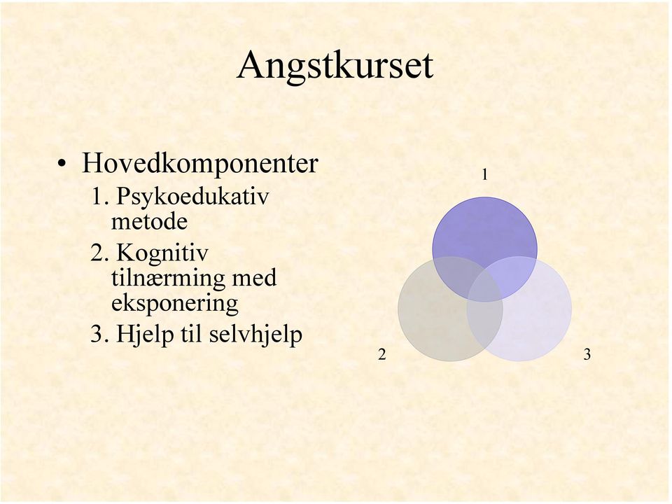 Kognitiv tilnærming med