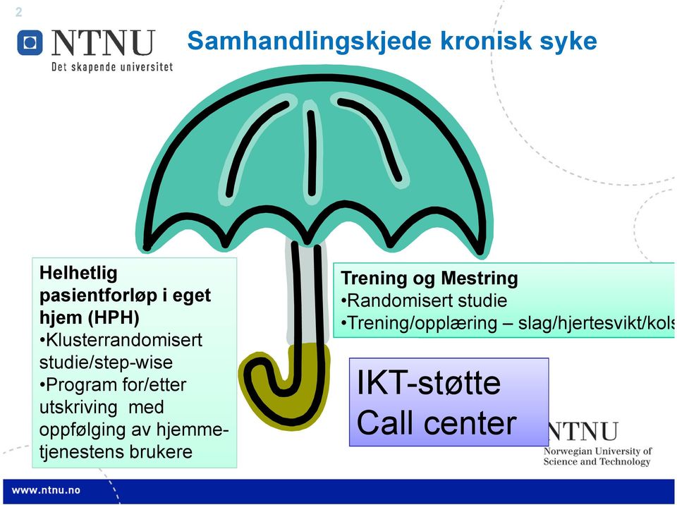 med oppfølging av hjemmetjenestens brukere Trening og Mestring