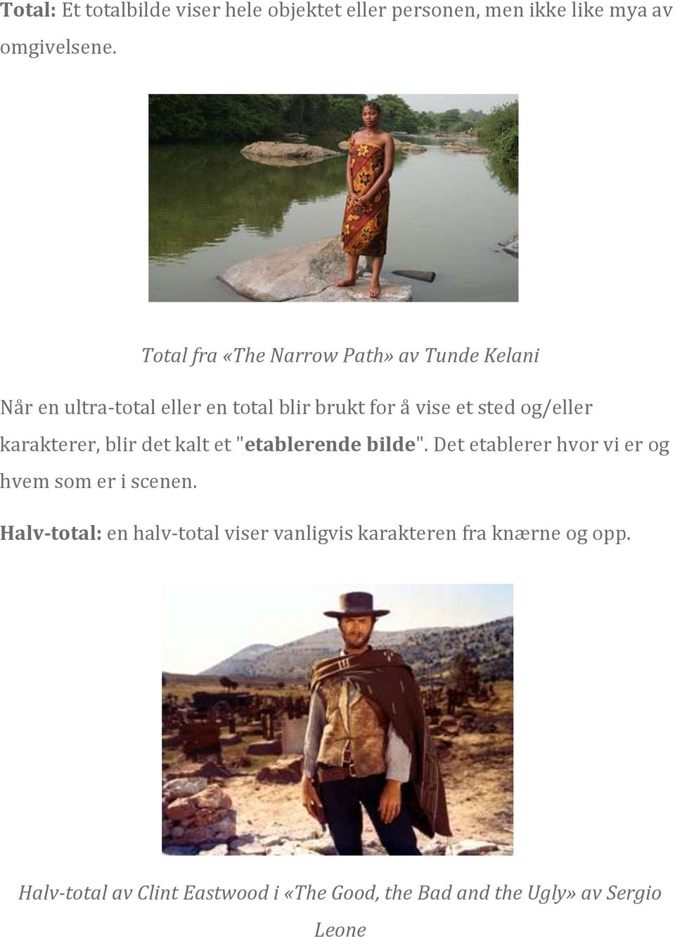 og/eller karakterer, blir det kalt et "etablerende bilde". Det etablerer hvor vi er og hvem som er i scenen.