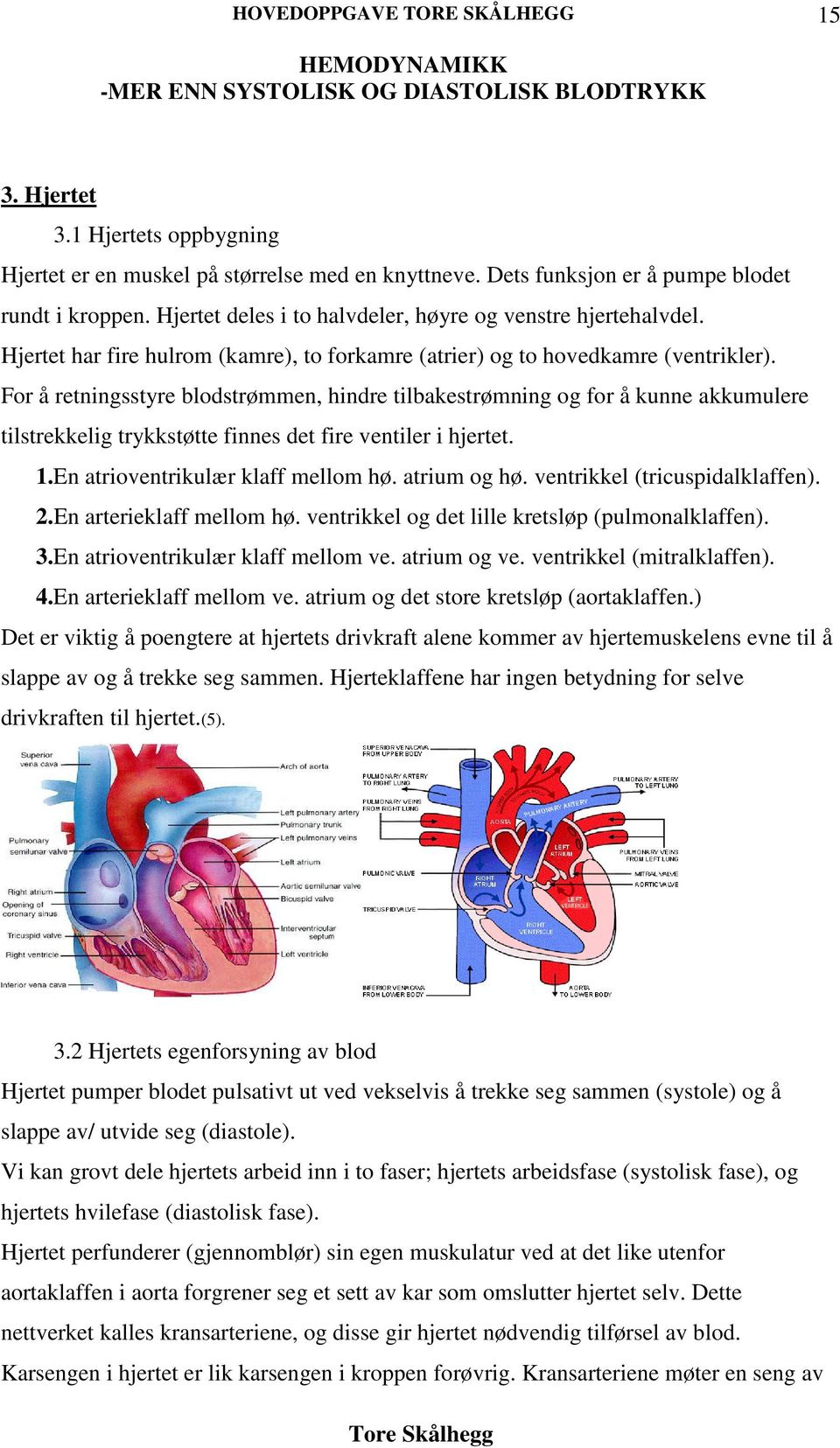 For å retningsstyre blodstrømmen, hindre tilbakestrømning og for å kunne akkumulere tilstrekkelig trykkstøtte finnes det fire ventiler i hjertet. 1.En atrioventrikulær klaff mellom hø. atrium og hø.