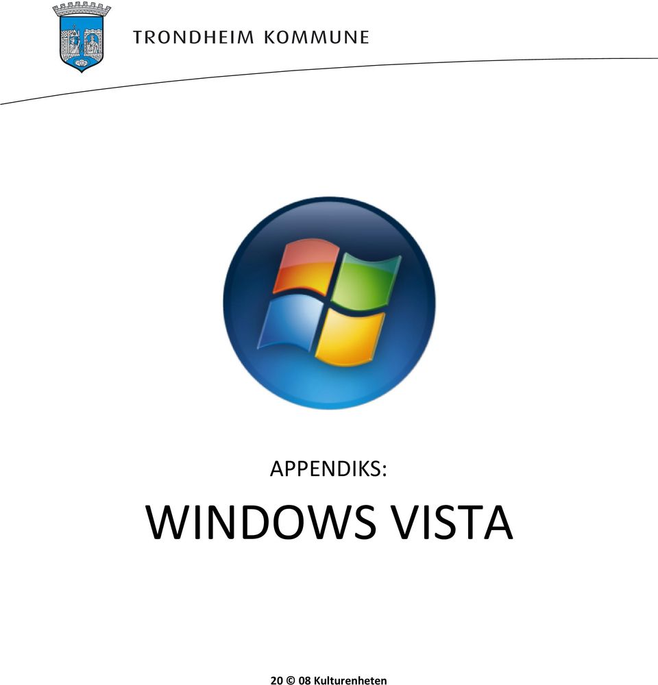 VISTA 20