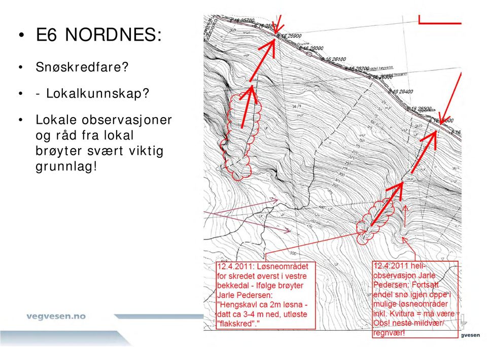 Lokale observasjoner og råd