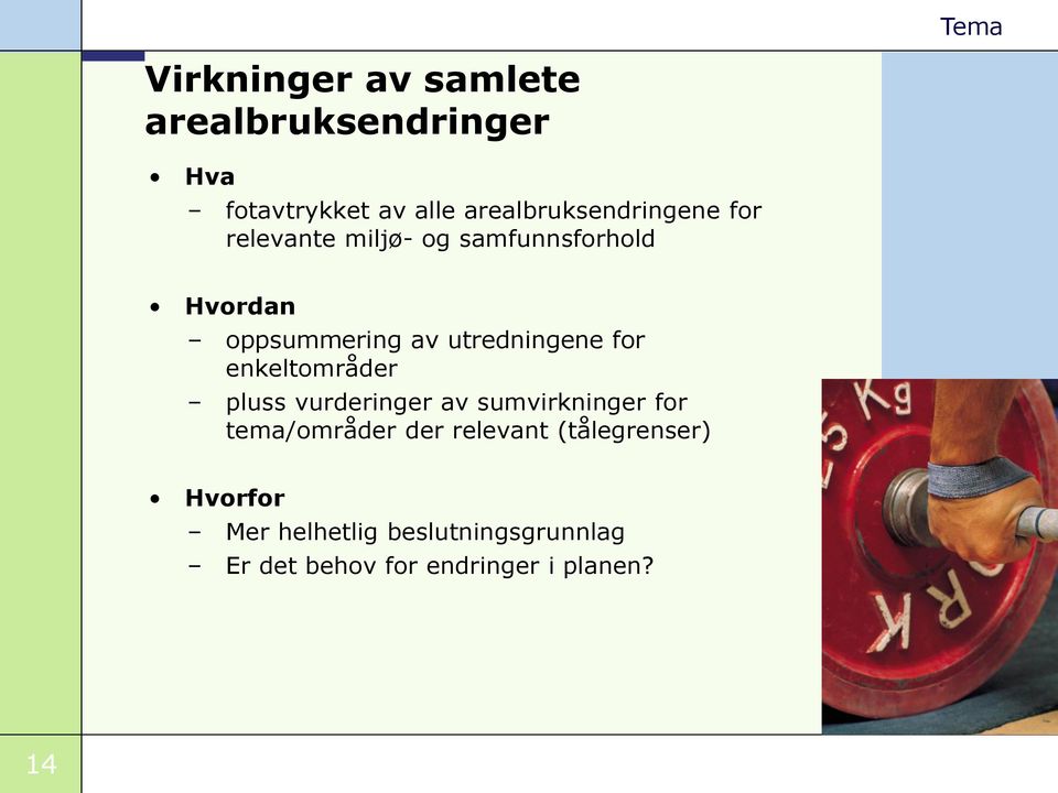 utredningene for enkeltområder pluss vurderinger av sumvirkninger for tema/områder