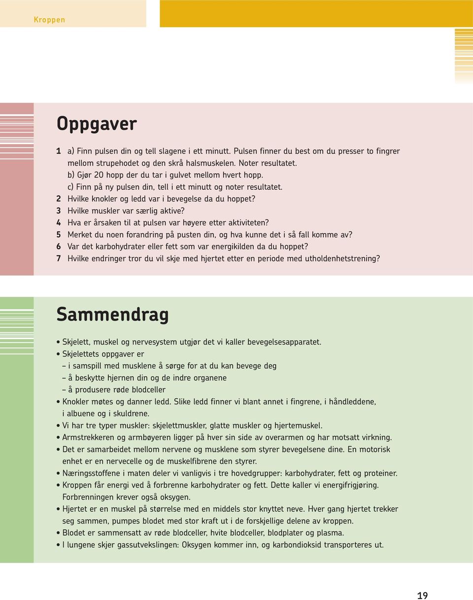 3 Hvilke muskler var særlig aktive? 4 Hva er årsaken til at pulsen var høyere etter aktiviteten? 5 Merket du noen forandring på pusten din, og hva kunne det i så fall komme av?