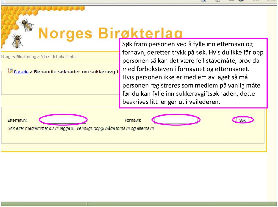 fornavnet og etternavnet.