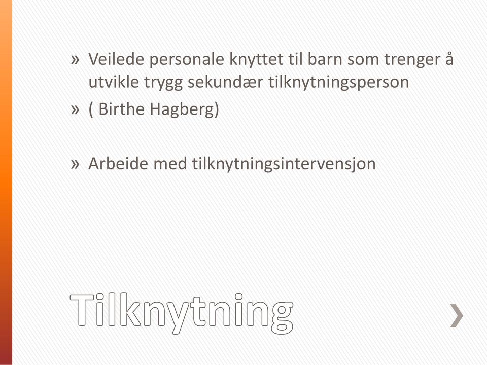 tilknytningsperson» ( Birthe