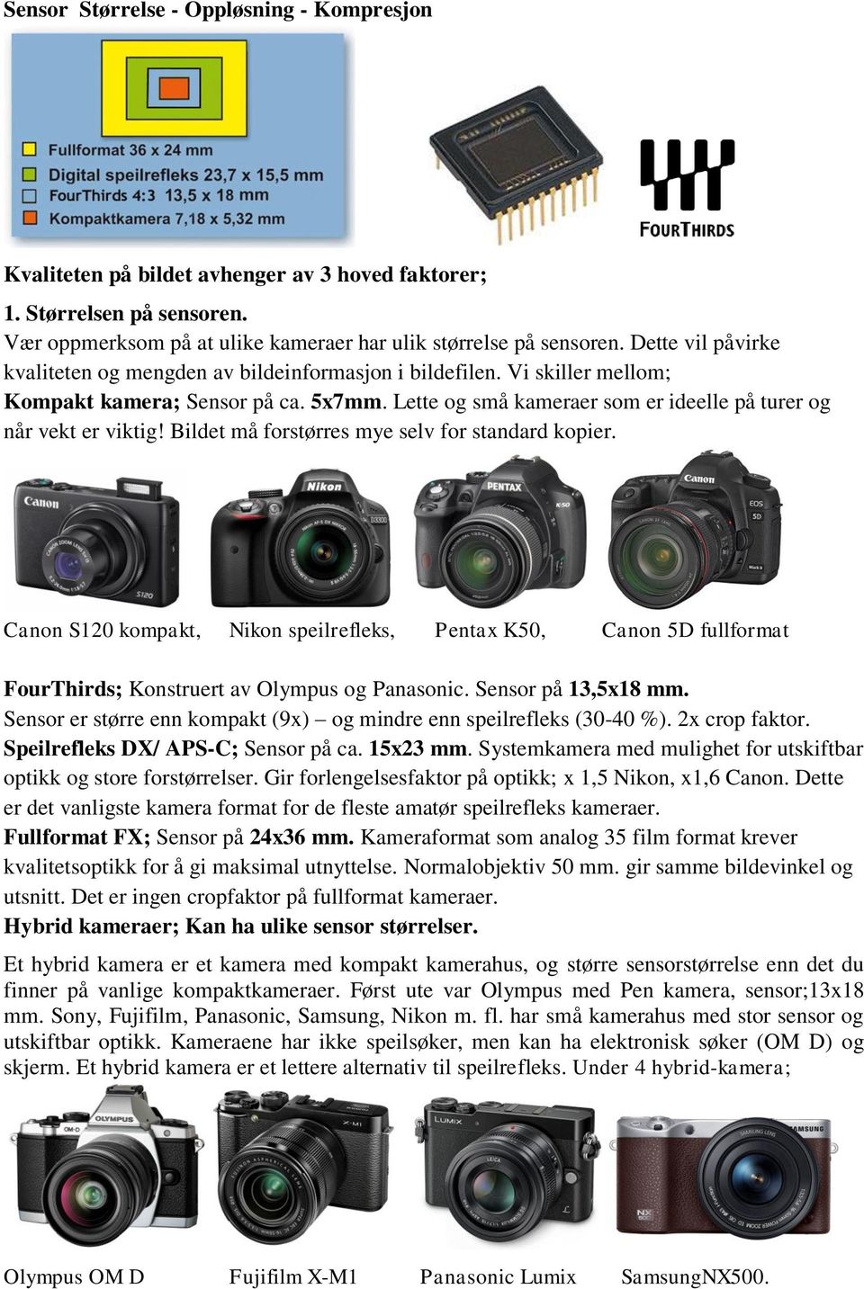 Bildet må forstørres mye selv for standard kopier. Canon S120 kompakt, Nikon speilrefleks, Pentax K50, Canon 5D fullformat FourThirds; Konstruert av Olympus og Panasonic. Sensor på 13,5x18 mm.