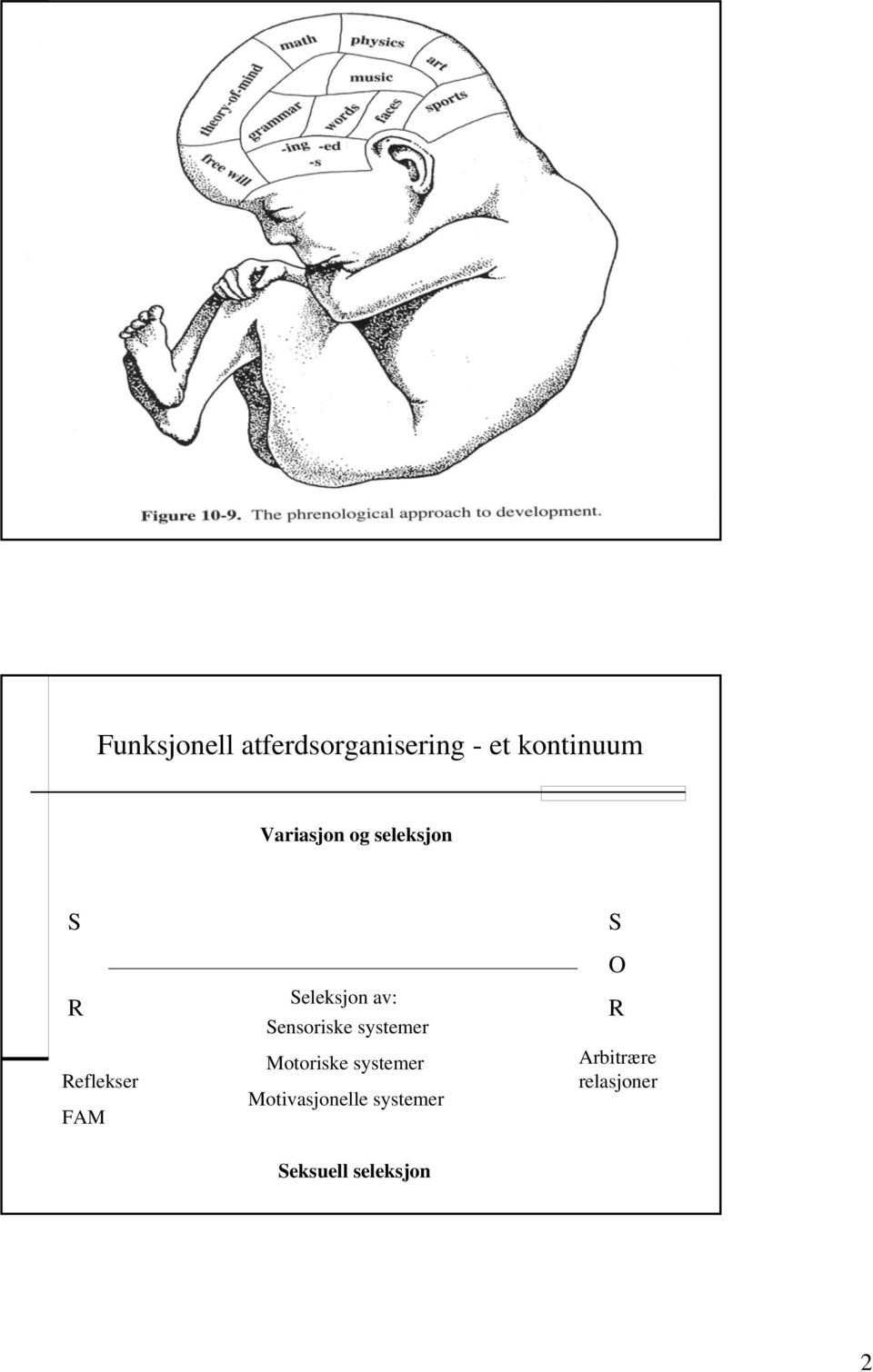 av: Sensoriske systemer Motoriske systemer