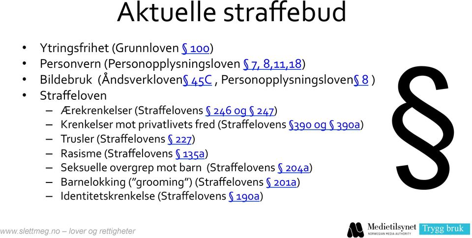 (Straffelovens 390 og 390a) Trusler (Straffelovens 227) Rasisme (Straffelovens 135a) Seksuelle overgrep mot barn