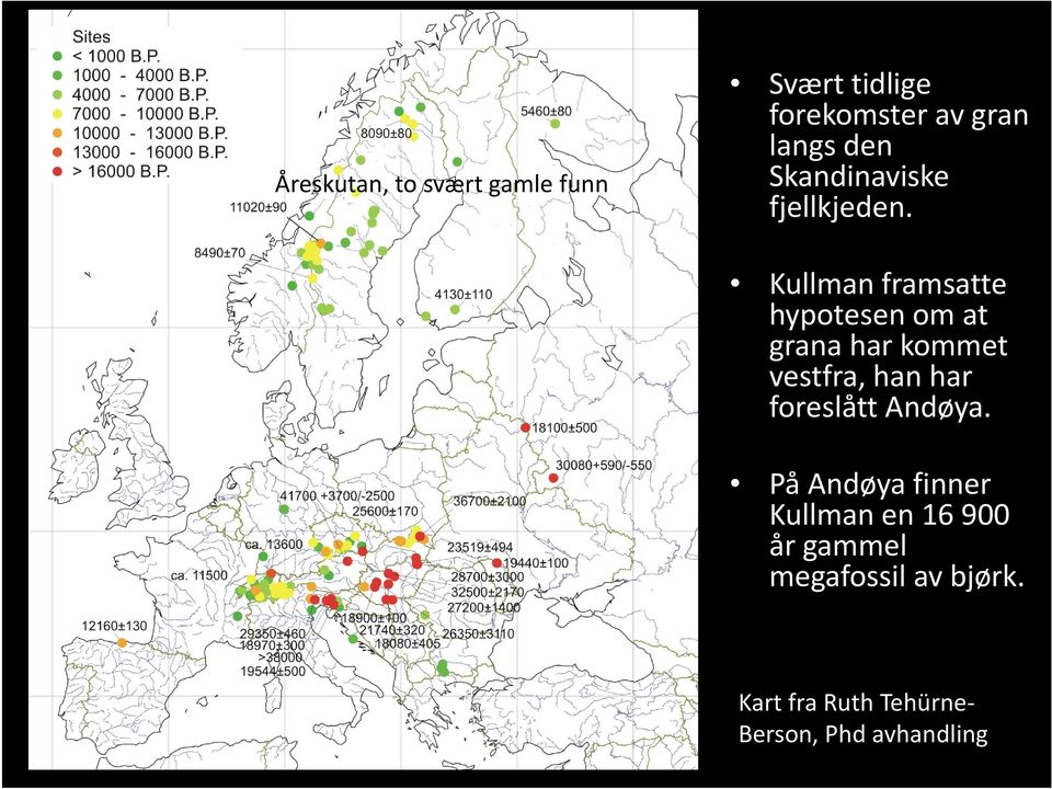 Kullman framsatte hypotesen om at grana har kommet vestfra, han har foreslått