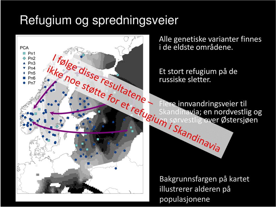 Flere innvandringsveier til Skandinavia; en nordvestlig og en