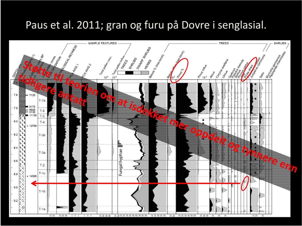 furu på Dovre