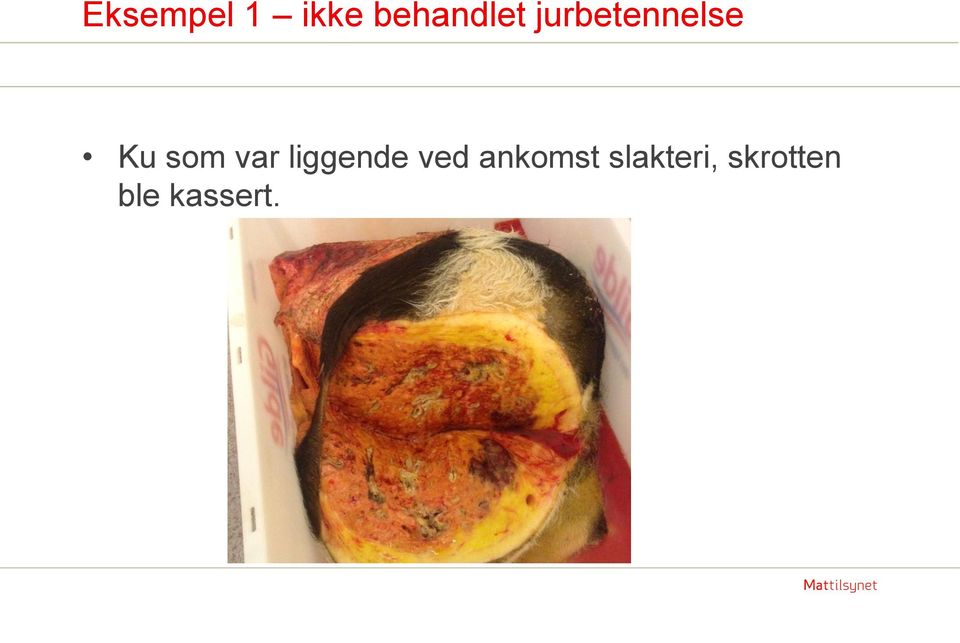 liggende ved ankomst