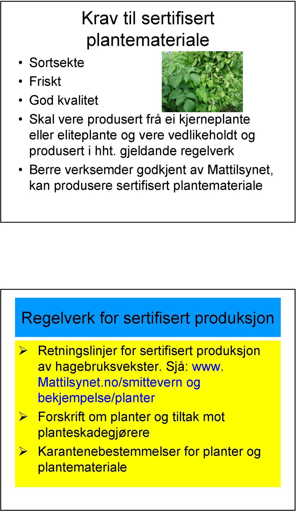 gjeldande regelverk Berre verksemder godkjent av Mattilsynet, kan produsere sertifisert plantemateriale Regelverk for sertifisert