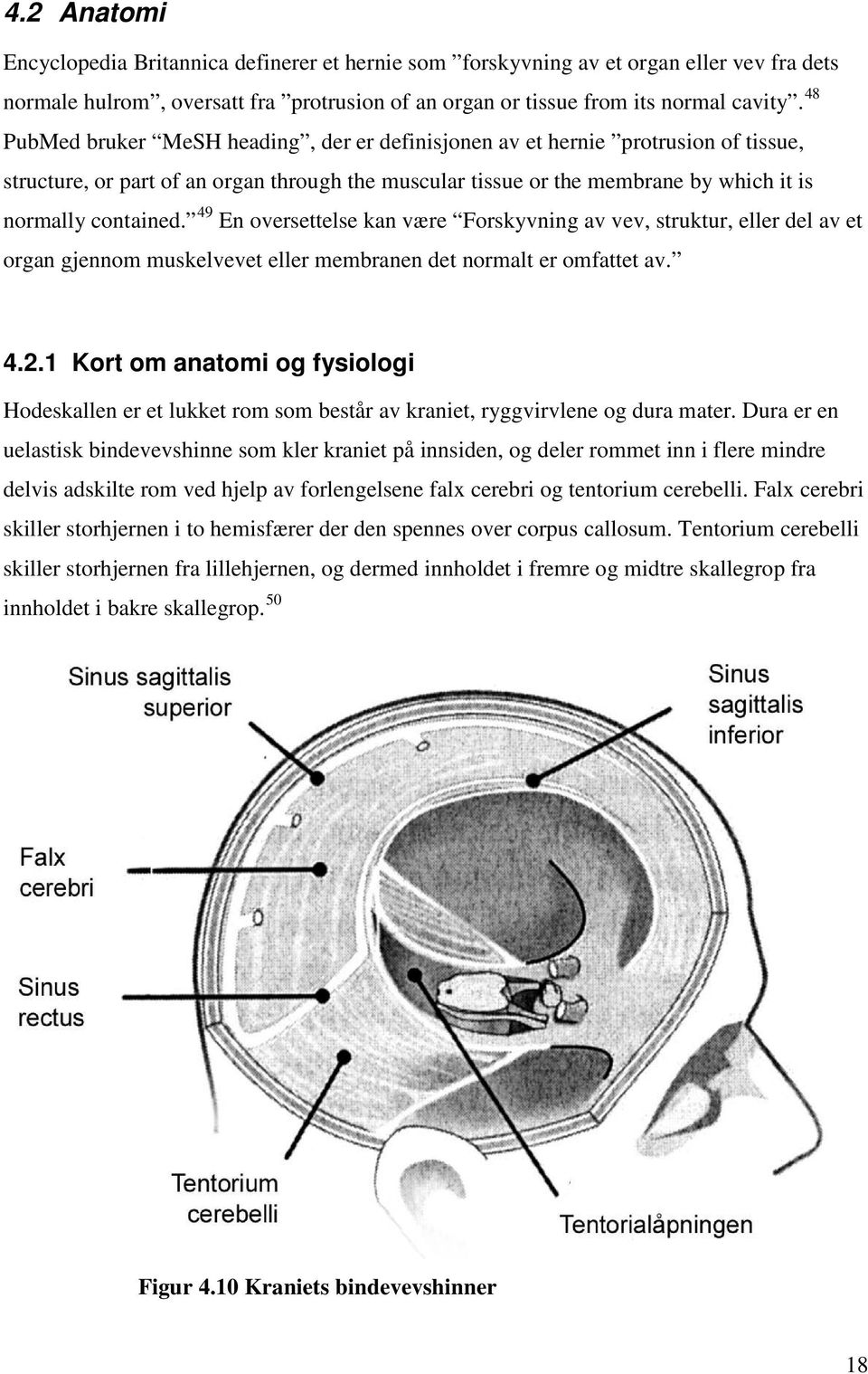 49 En oversettelse kan være Forskyvning av vev, struktur, eller del av et organ gjennom muskelvevet eller membranen det normalt er omfattet av. 4.2.