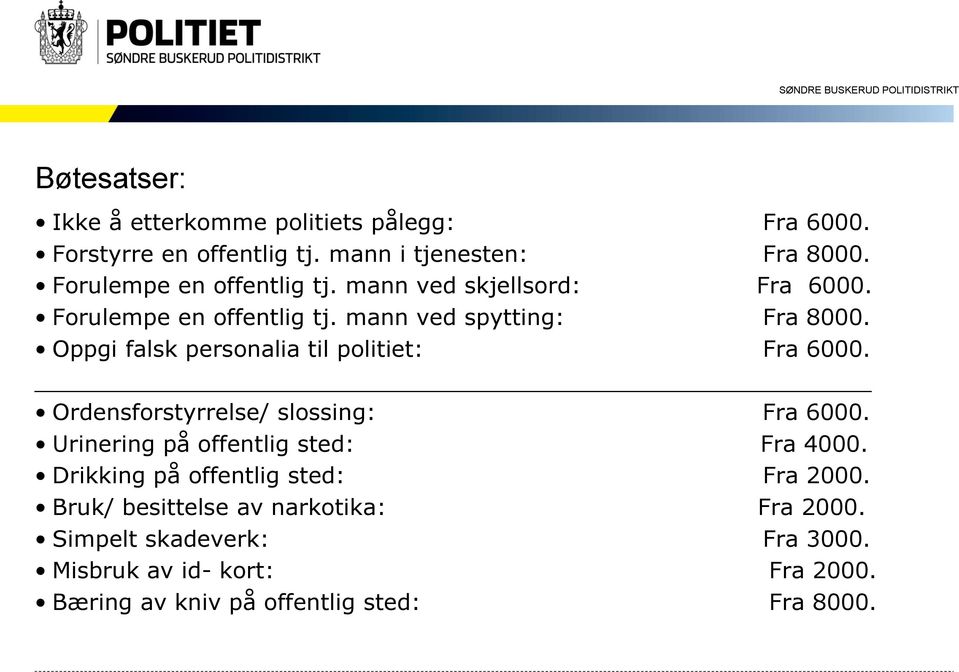 Oppgi falsk personalia til politiet: Fra 6000. Ordensforstyrrelse/ slossing: Fra 6000. Urinering på offentlig sted: Fra 4000.