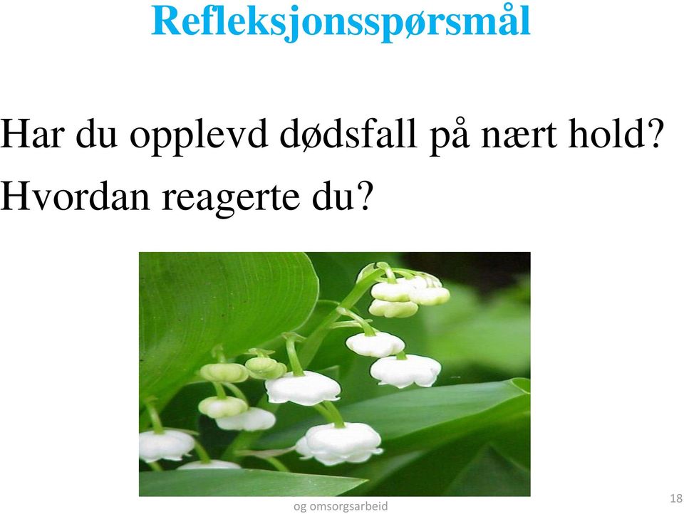 dødsfall på nært